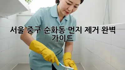 서울 중구 순화동 먼지 제거 완벽 가이드