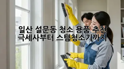 일산 설문동 청소 용품 추천: 극세사부터 스팀청소기까지!